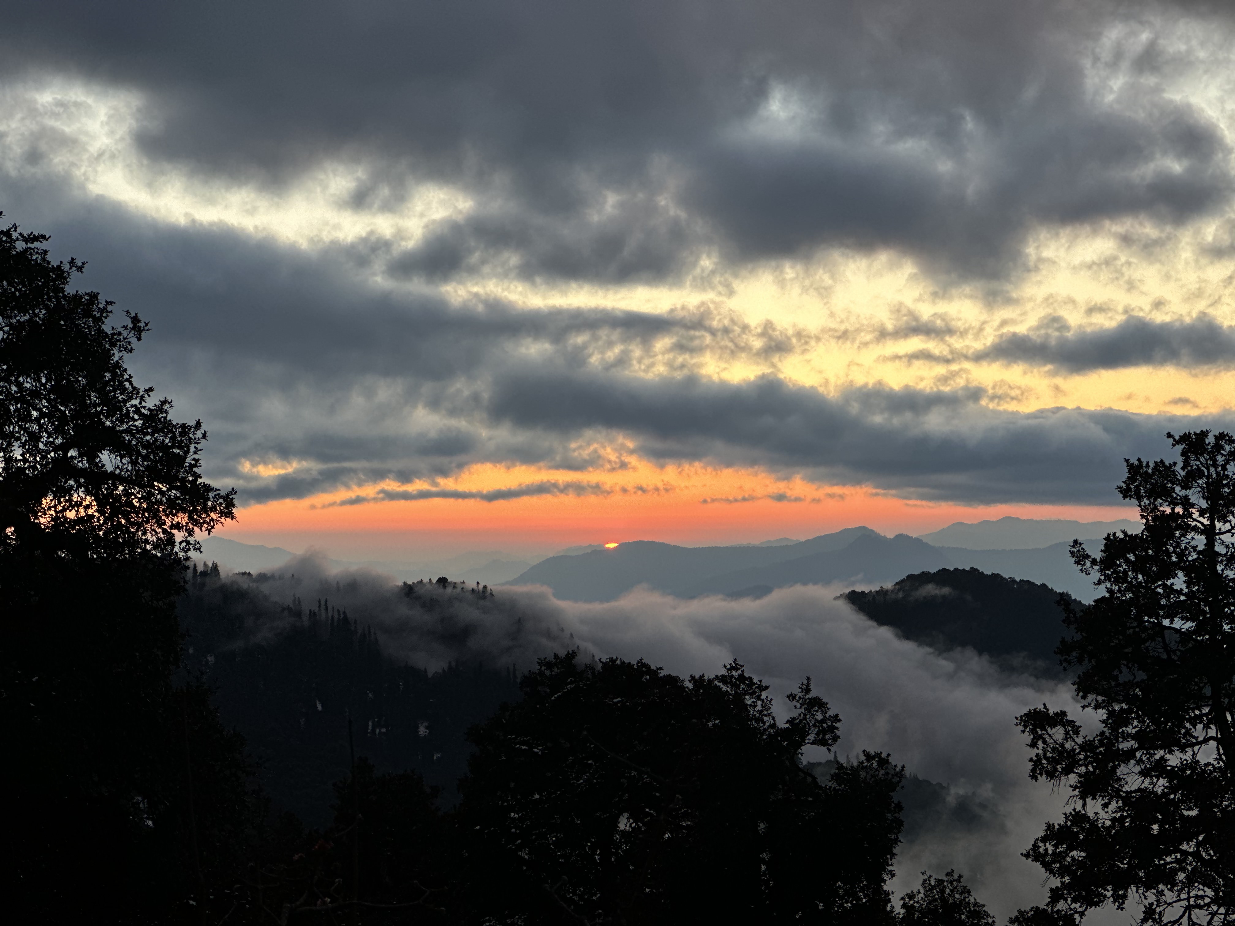    Chopta Tour Pacakage